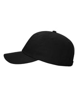 Richardson - Sustainable Ashland Dad Hat