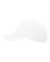 Richardson - Sustainable Ashland Dad Hat